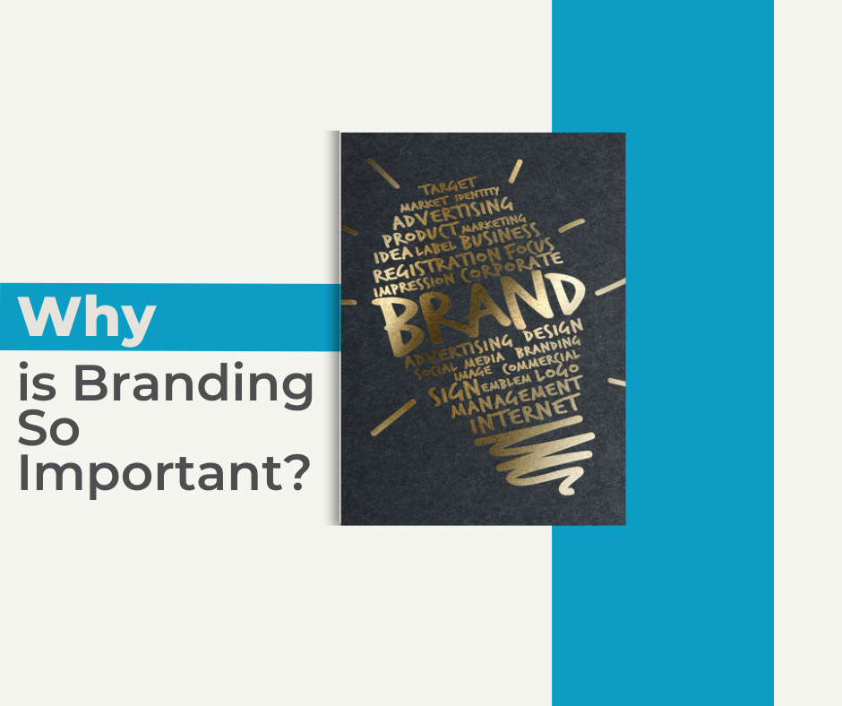 What Is Brand Marketing? (Definition, Importance)